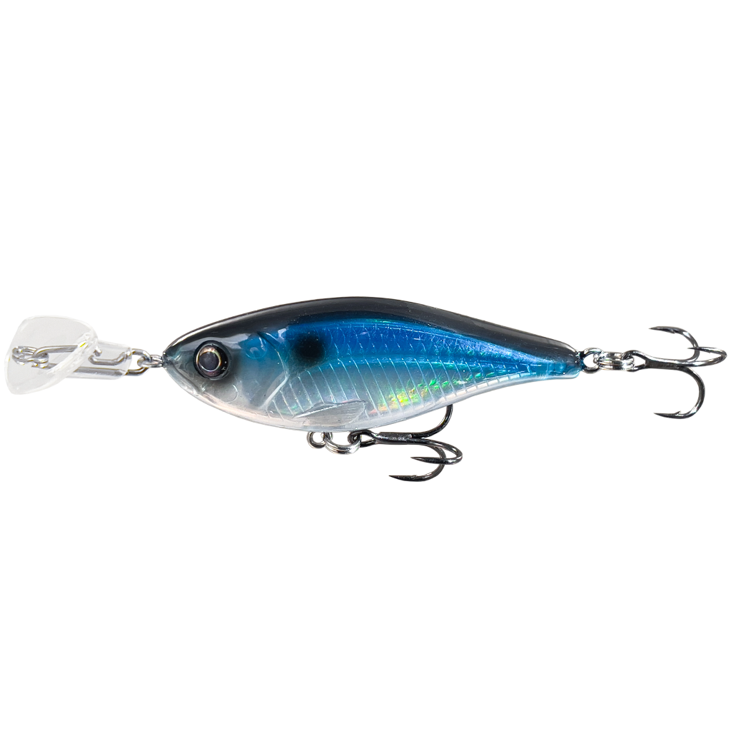 Cranky Shad