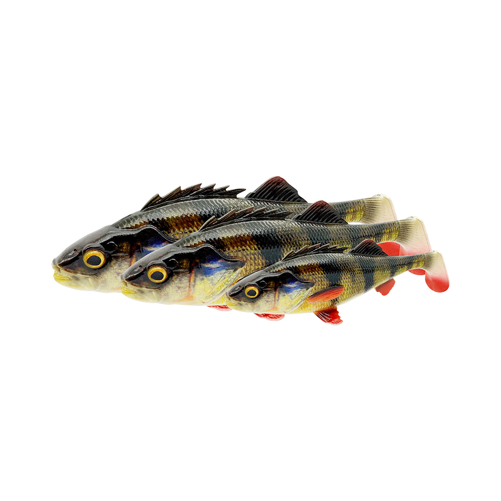 4D Perch Shad