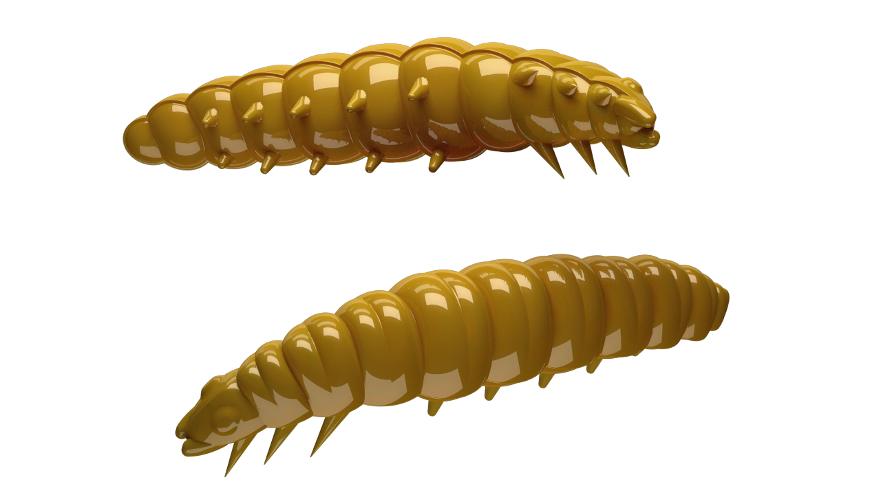 Larva