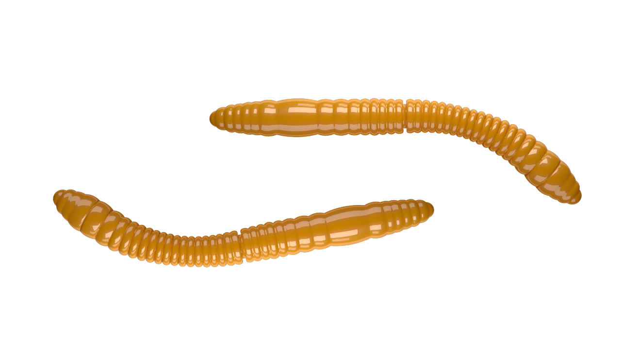 Fatty D´Worm Tournament