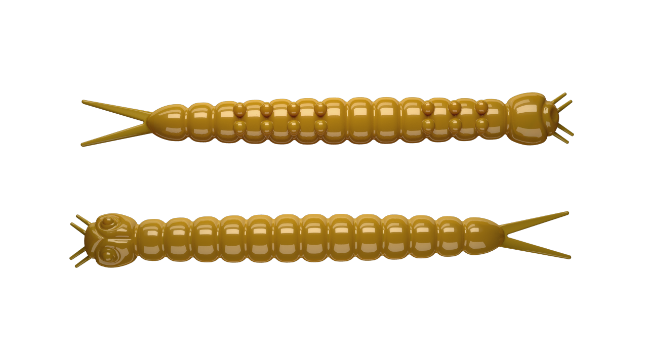 Slight Worm