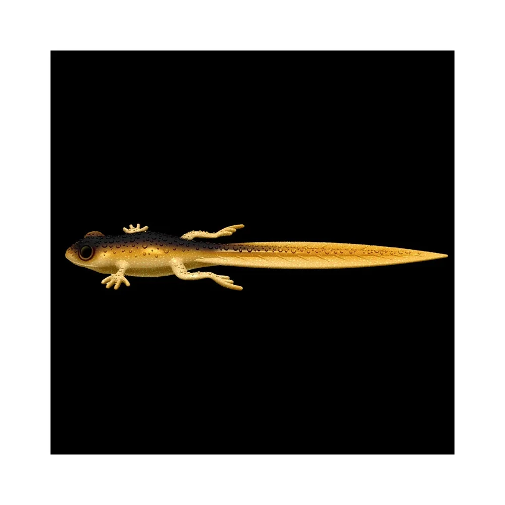Frog Tadpole Tail