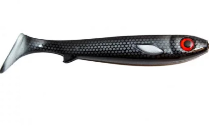 Flatnose Shad