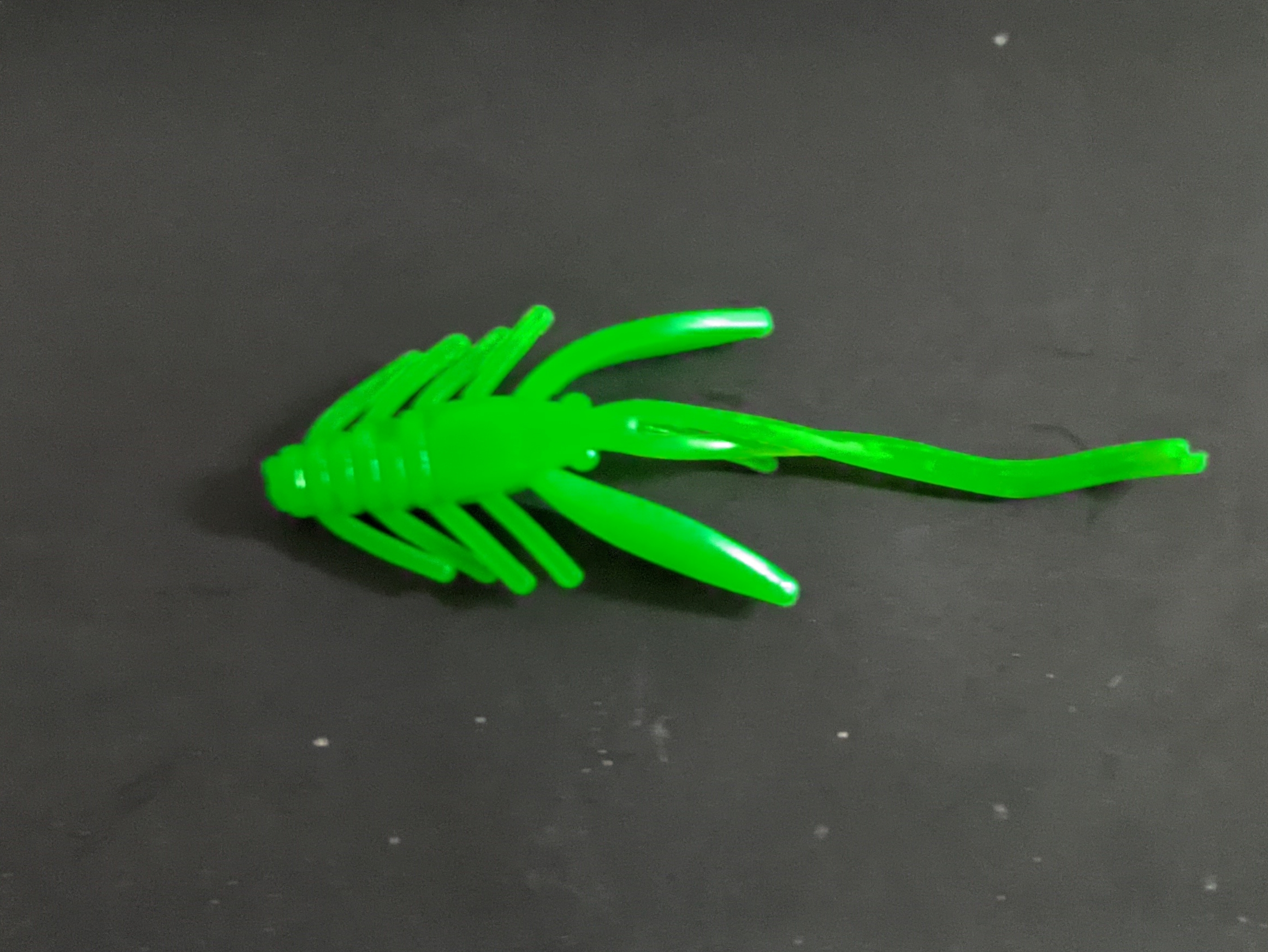 Nymfa 4cm