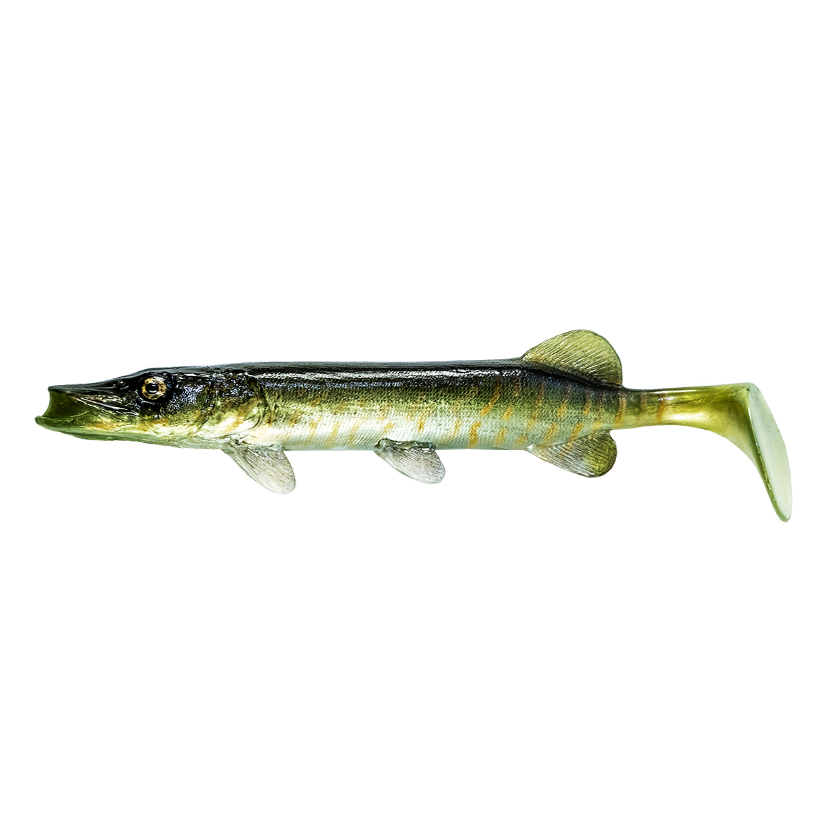 Angry Pike