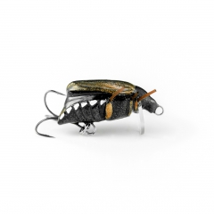Maybug