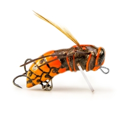Hornet
