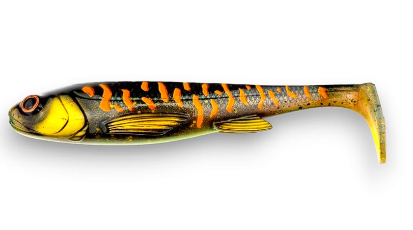 U-Shad