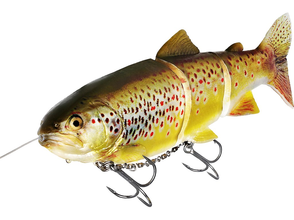 Tommy The Trout