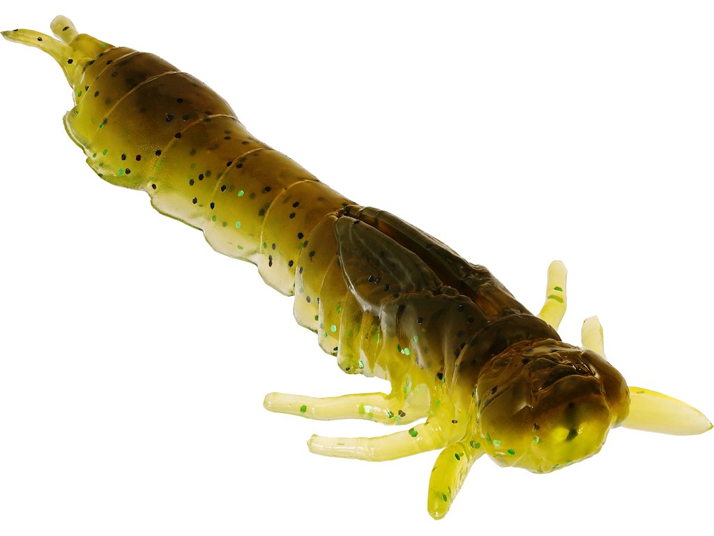 Odonata Ned