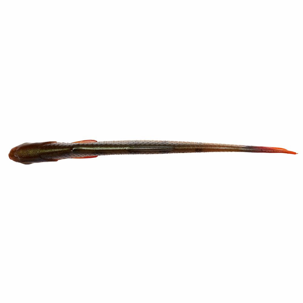 Savage Gear Craft Dying Minnow 10cm Roach 5ks