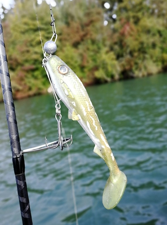 PikeCraft The System Pelagic Bullet Weight 50g