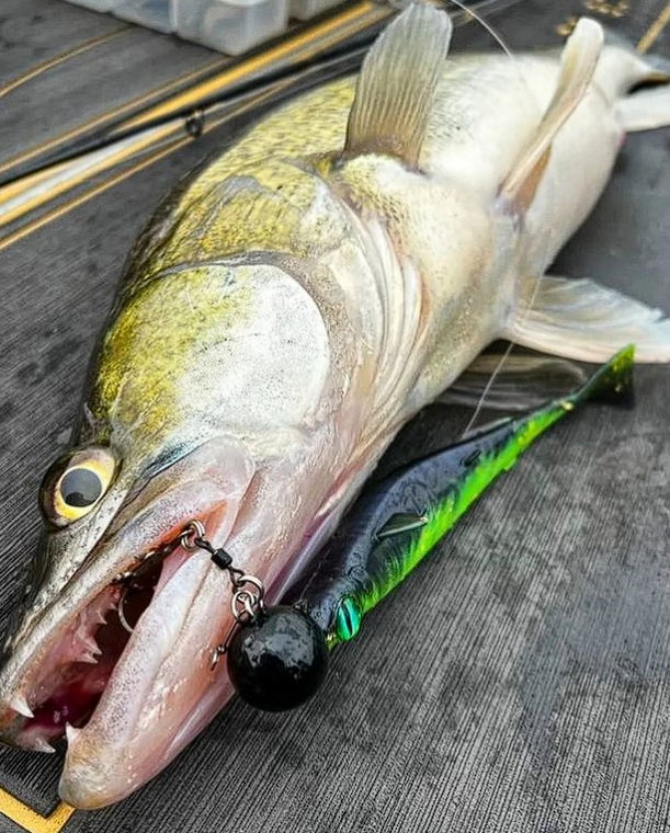 Revolution Tackle Hel Shad 19cm Black Amber