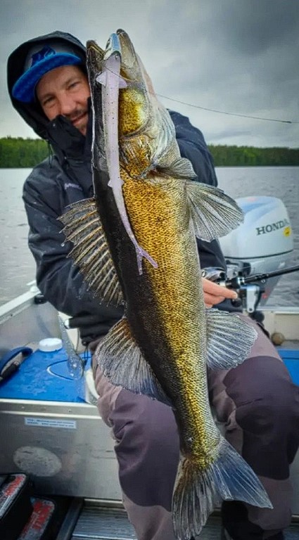 Revolution Tackle Hel Shad 26cm Black Piggy