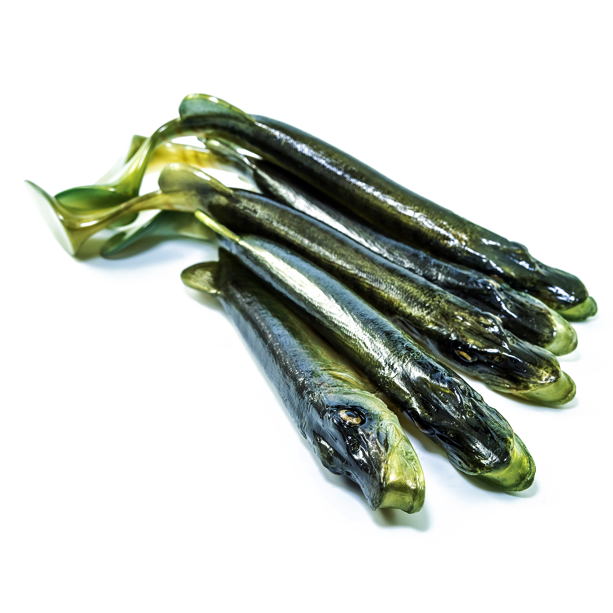 Angry Lures Pike 25cm NTA