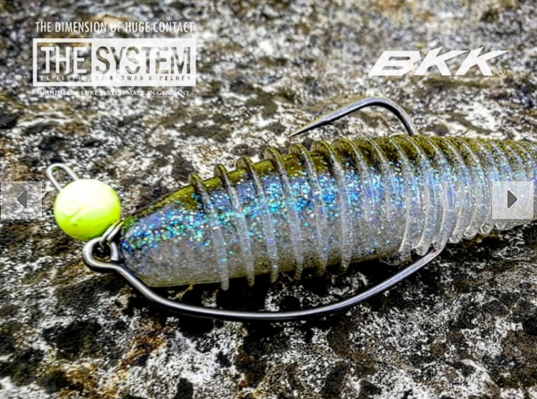 PikeCraft Fishing Ghost RenkyShad 22cm Perfect Rig