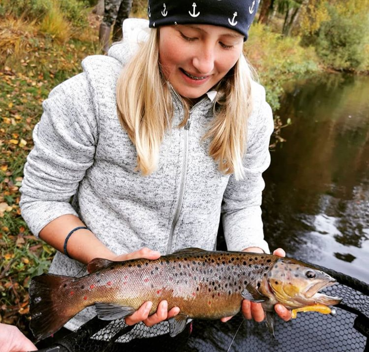 Revolution Tackle Dag Shad 10cm Green Hornet