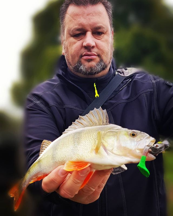 Revolution Tackle Dag Shad 10cm Green Hornet