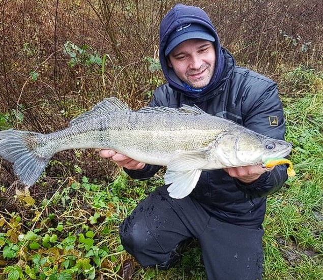 Revolution Tackle Dag Shad 10cm Aurora Green