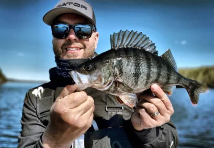 Gator Gum 12cm Red Coke 3ks