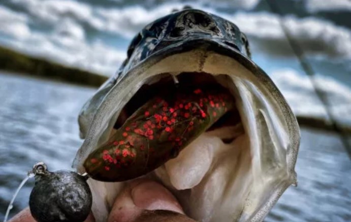 Gator Gum 12cm Red Coke 3ks