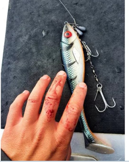 Gator Gum 18cm Locus