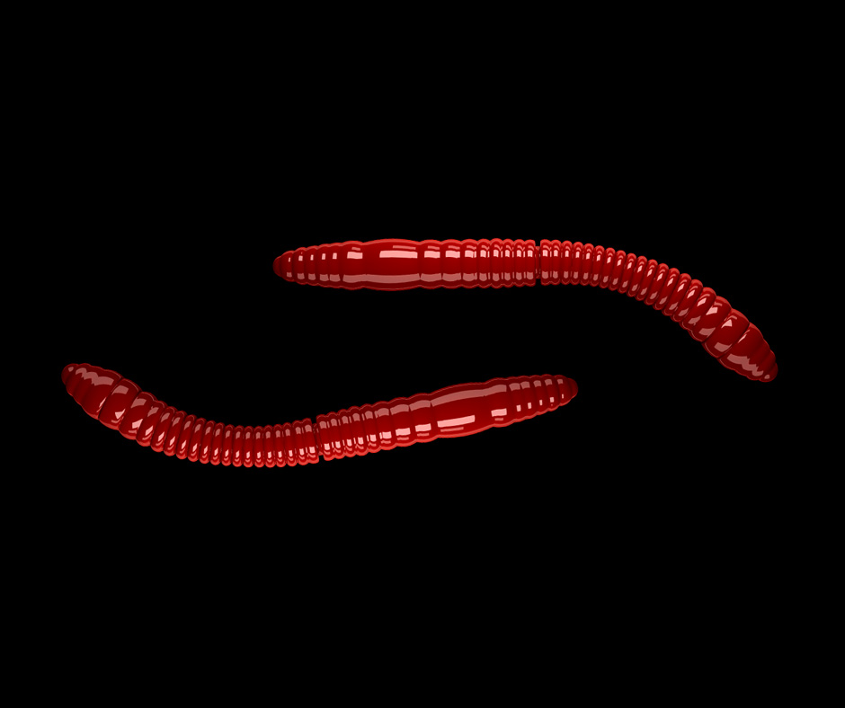 Libra Lures Fatty D´Worm Tournament 55mm 021 Red Krill 12ks