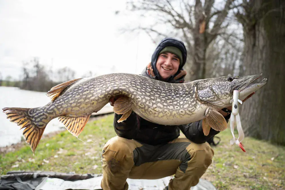 LMAB Drunk Dancer 23cm Striped Phantom