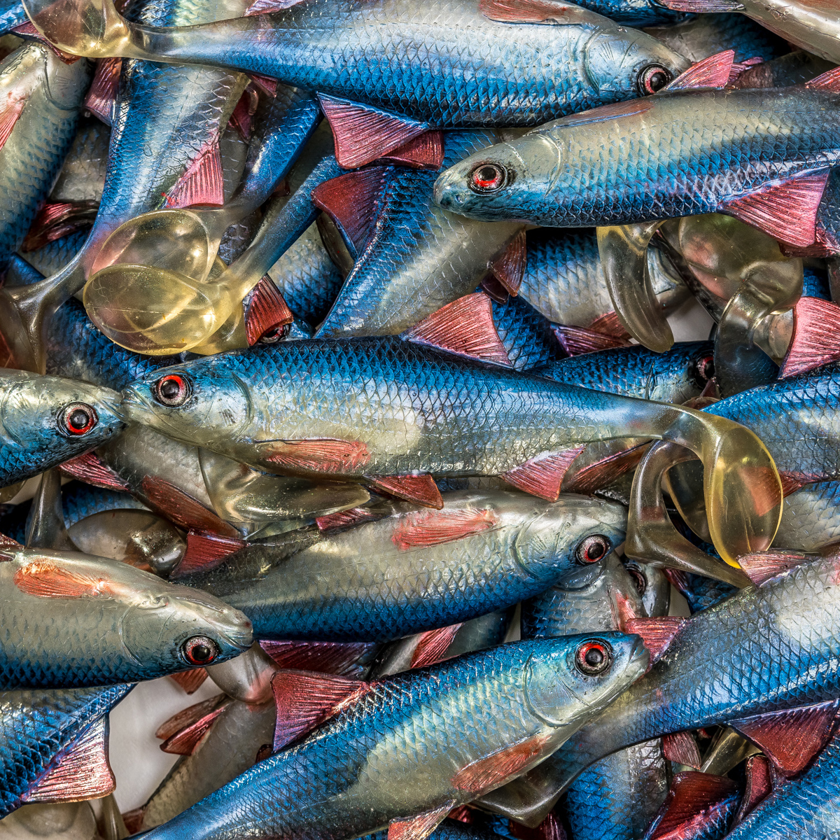 Angry Lures Roach 12,5cm BSW