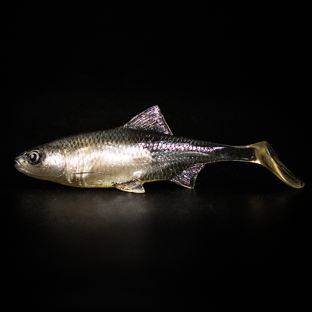 Angry Lures Roach 12,5cm TSW