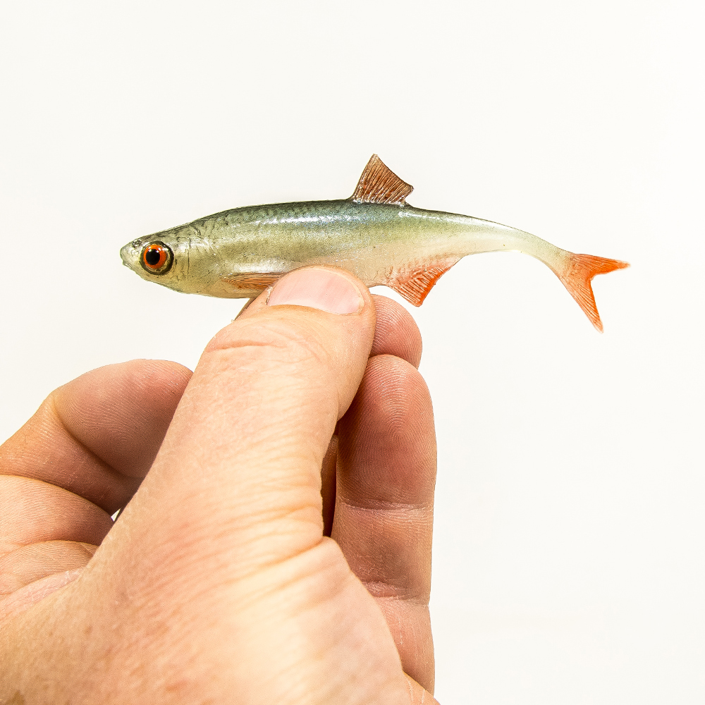 Angry Lures Bleak F-Tail 10cm NOO