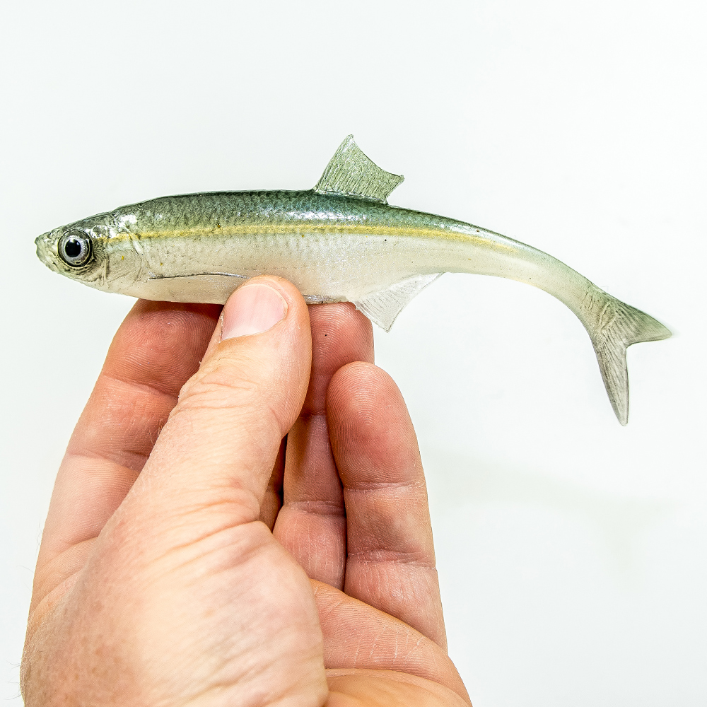 Angry Lures Bleak F-Tail 15cm WGY