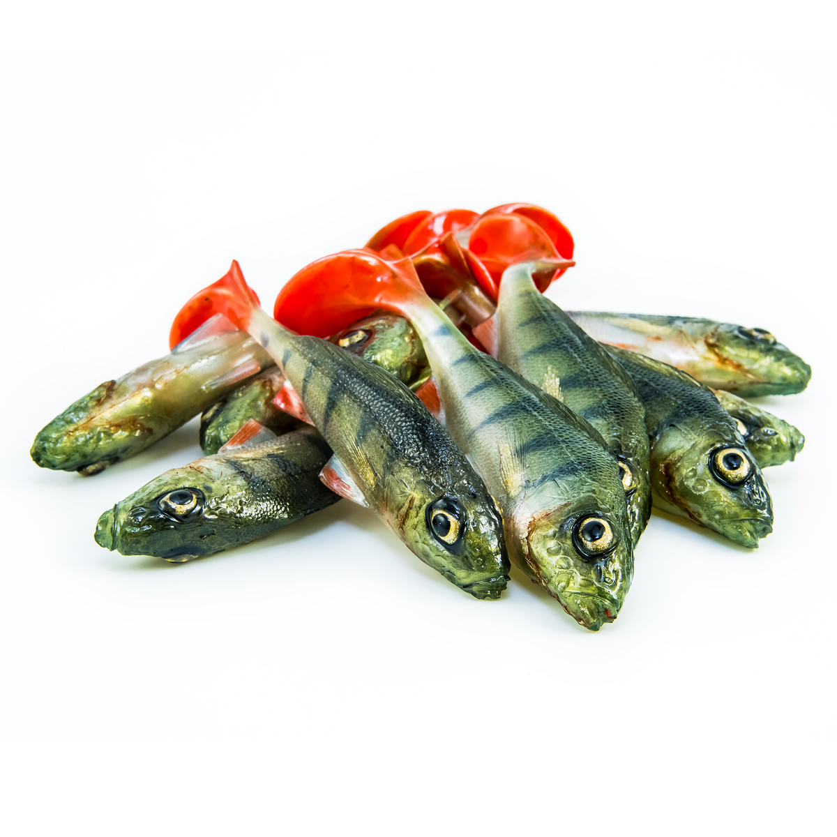 Angry Lures Ruffe 10cm PCH