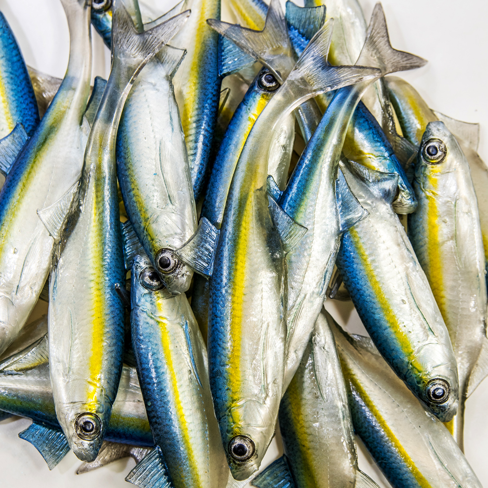 Angry Lures Bleak F-Tail 15cm TBY