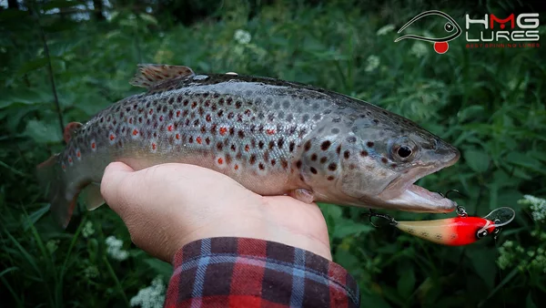 HMG SilentASSASIN 4,9cm 03 Plovoucí