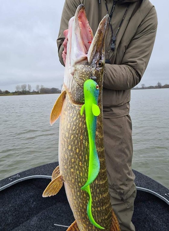 Revolution Tackle Channa Tail XXL 52cm Green Mamba