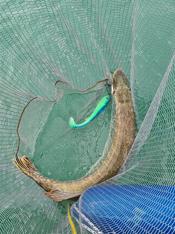 Revolution Tackle Dag Shad 28cm Camo Jack