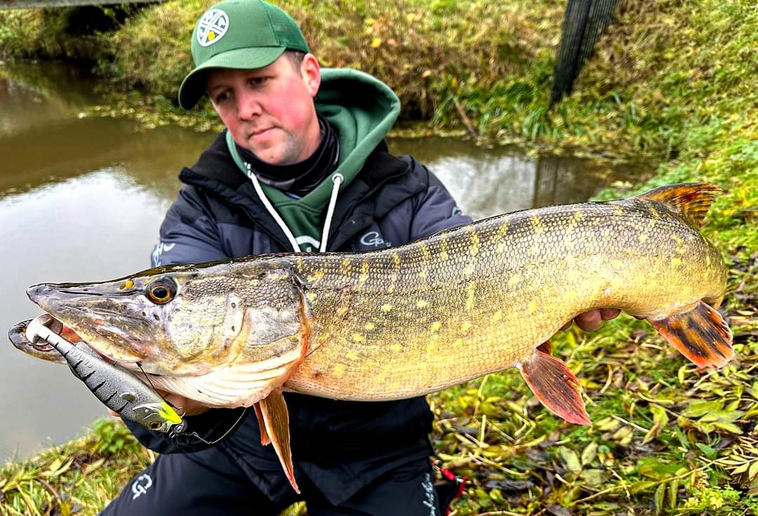 LMAB Kofi Perch 14cm Chrome Tiger 3ks