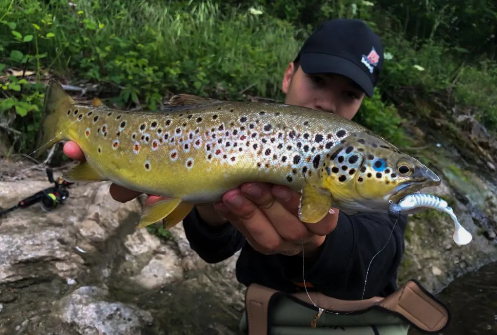 Delalande Skeleton 8cm Jungle