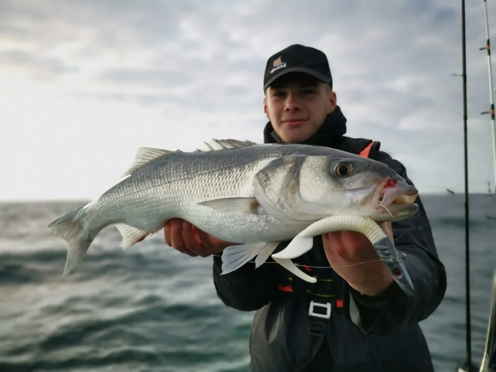 Delalande King 12cm Chartreuse