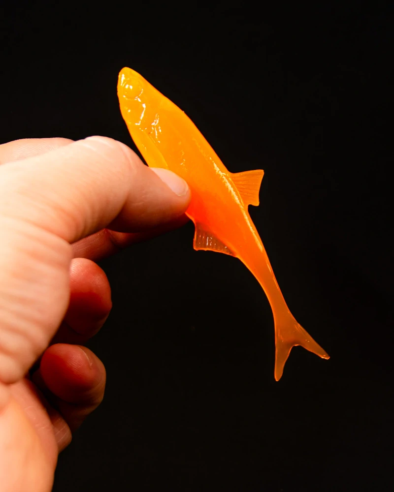 Angry Lures Bleak F-Tail 10cm OUV