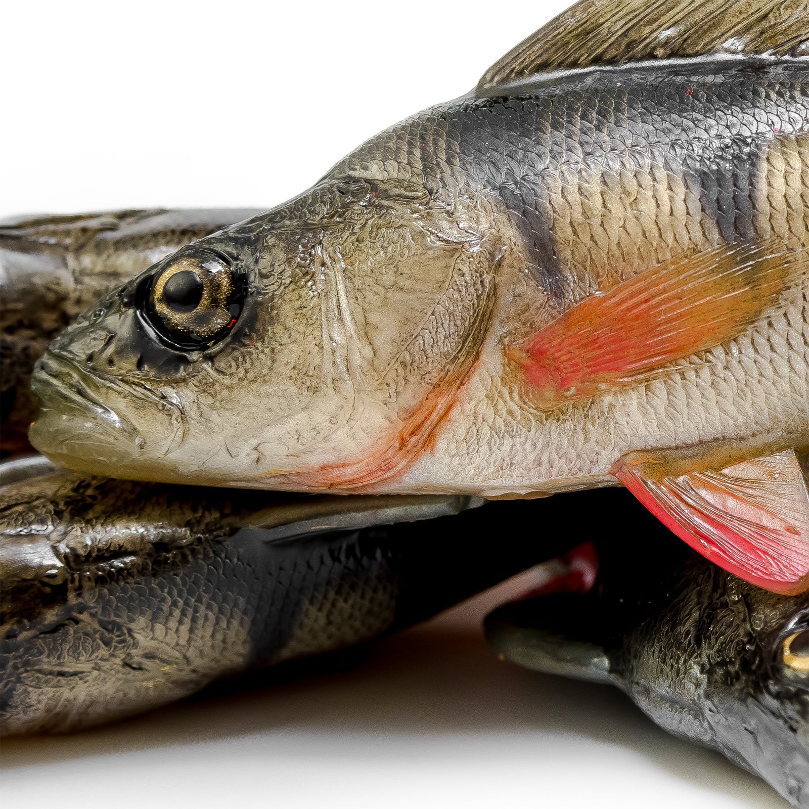 Angry Lures Perch 19,5cm NOR