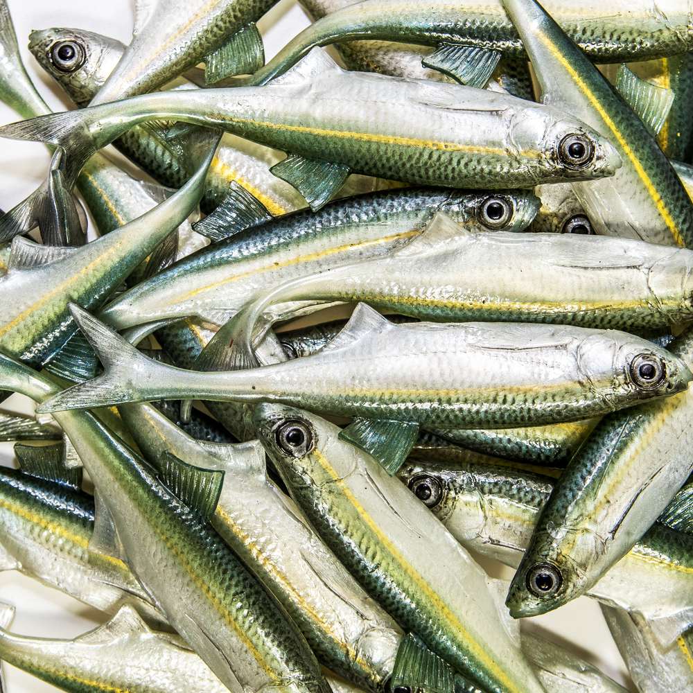 Angry Lures Bleak F-Tail 12,5cm WGY
