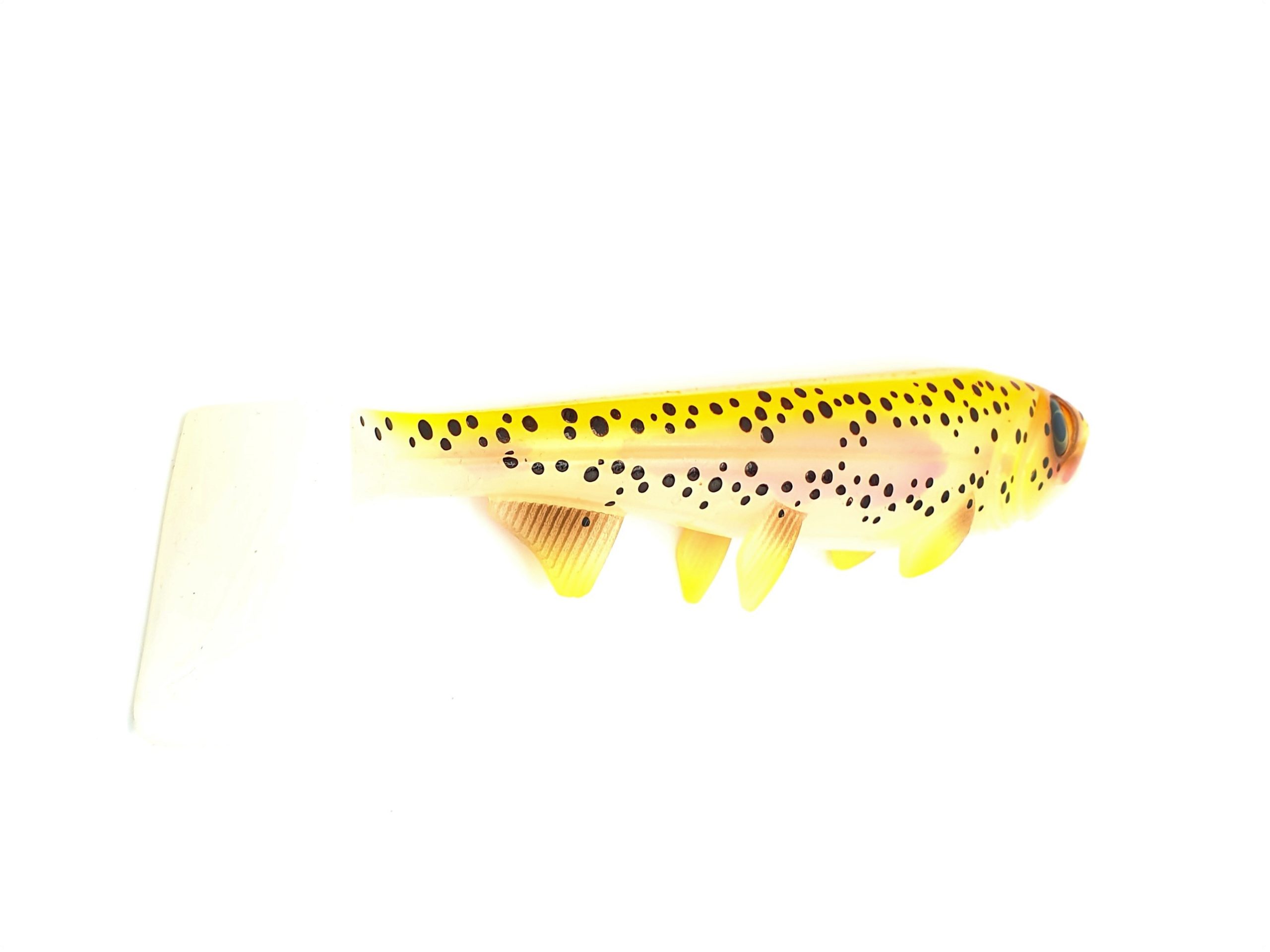 Hostage Valley Shad 26cm Golden Trout