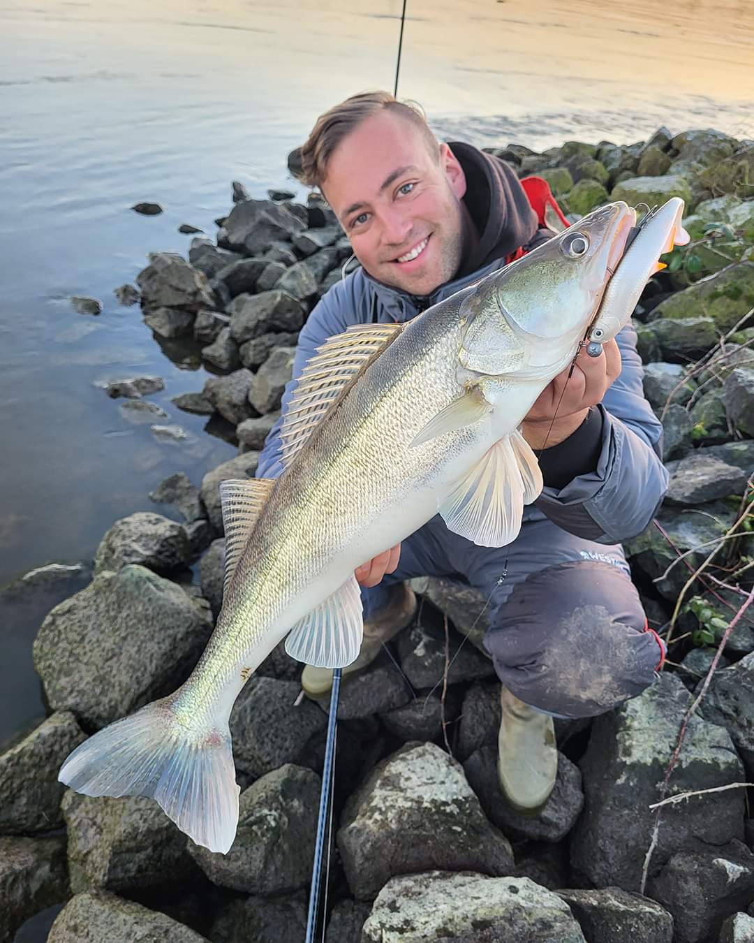 LMAB Kofi Bleak 18cm Real Roach