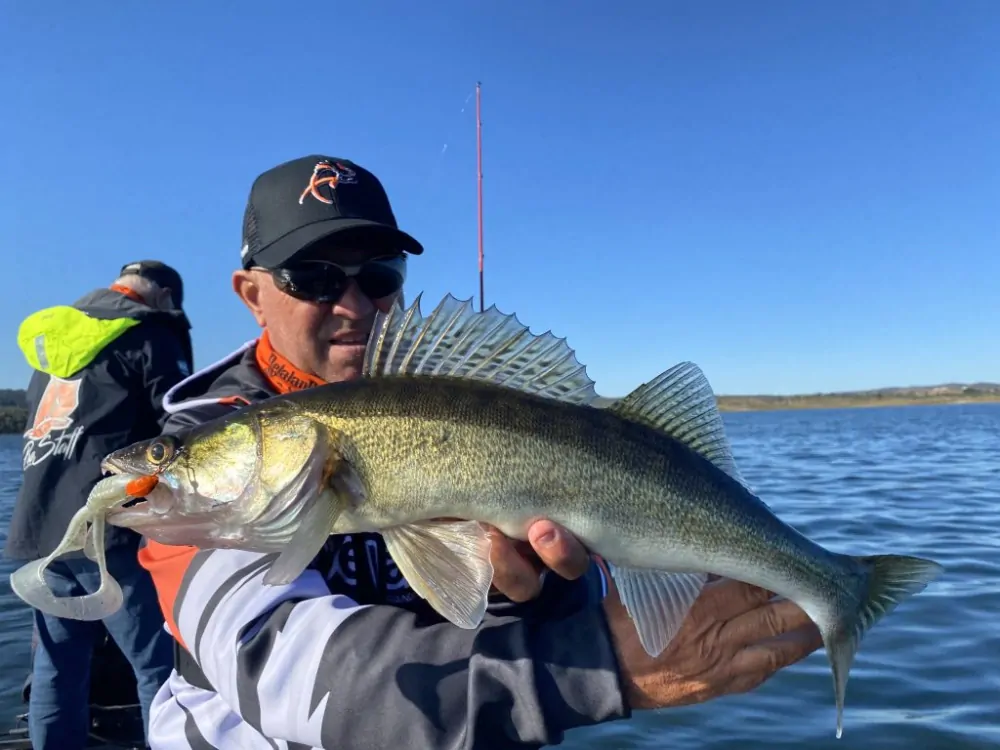 Delalande Neo Frog 18cm Yellow Frog