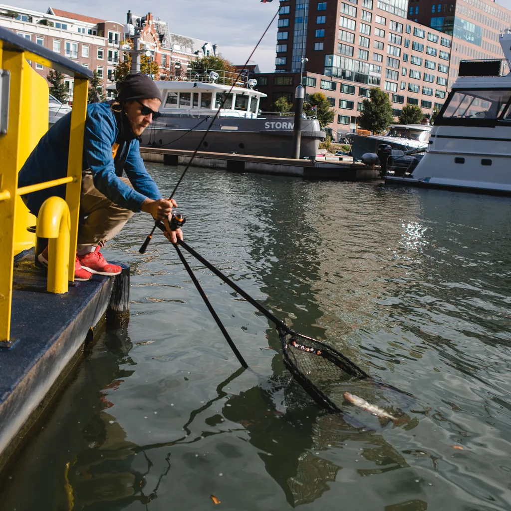 Zeck Folding Rubber Tele Net M