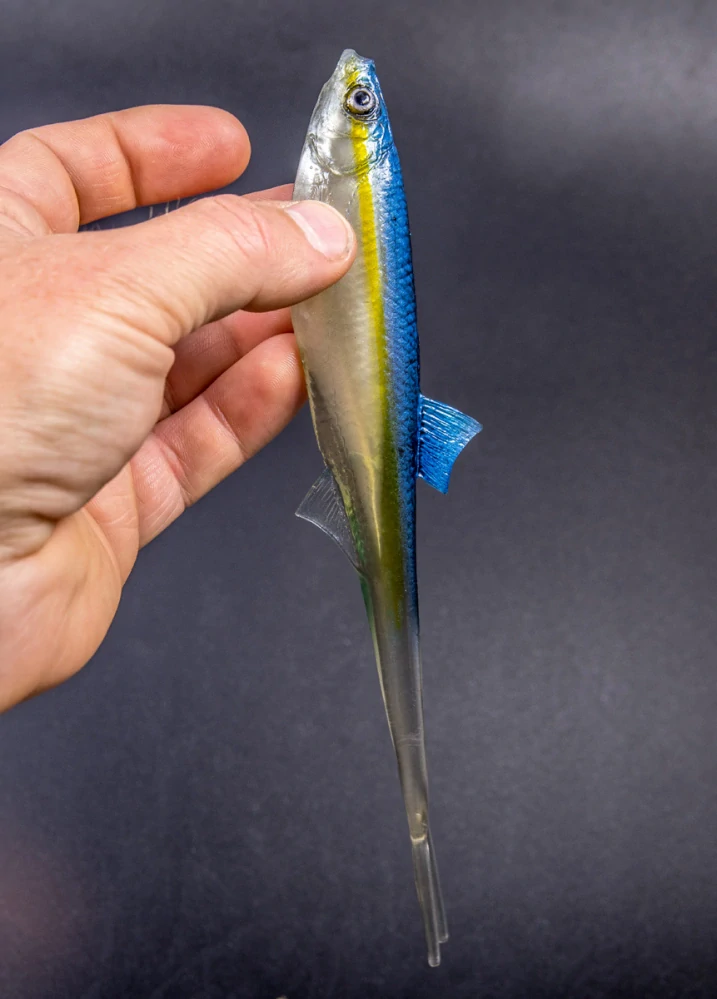 Angry Lures Bleak V-Tail 20cm TBY