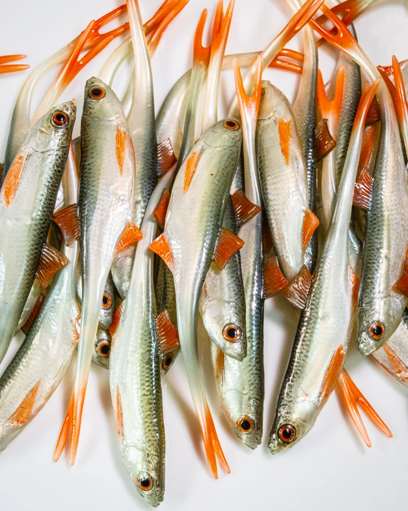 Angry Lures Bleak V-Tail 15cm NOO