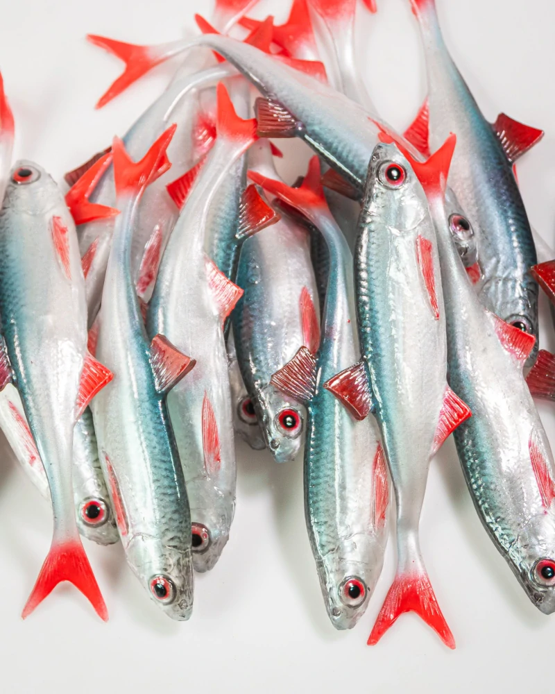 Angry Lures Bleak F-Tail 10cm NBR